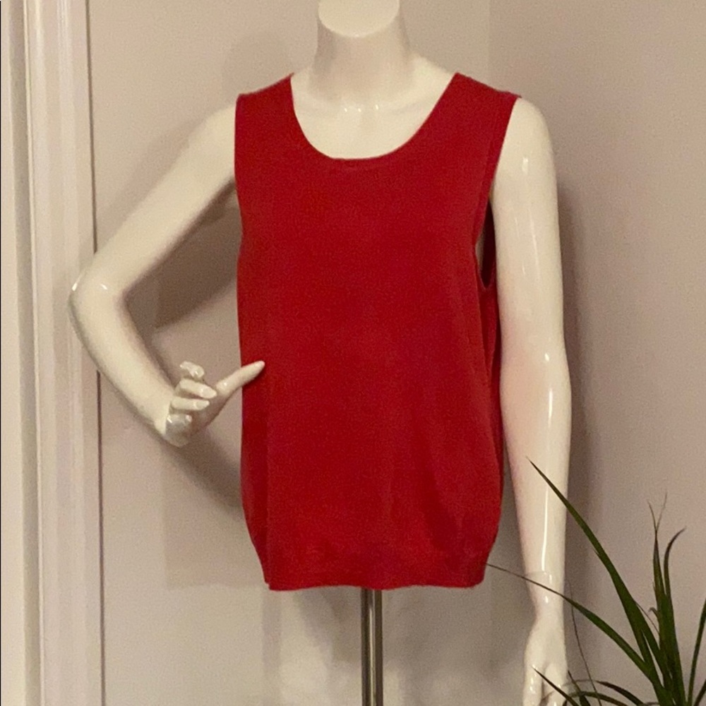 Philosophy sweater vest
